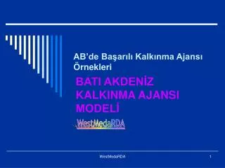 ab de ba ar l kalk nma ajans rnekleri