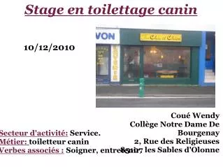 stage en toilettage canin