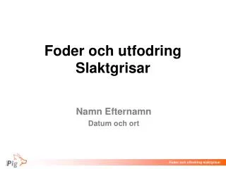 foder och utfodring slaktgrisar