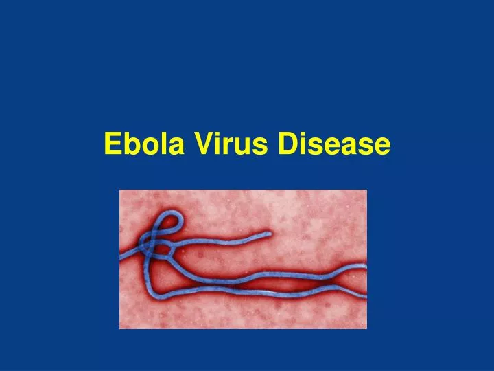 ebola virus disease