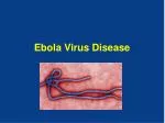 PPT - Ebola Virus Disease (EVD) WHAT IS IT? PowerPoint Presentation ...