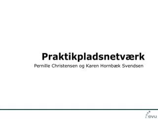praktikpladsnetv rk