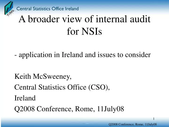 a broader view of internal audit for nsis