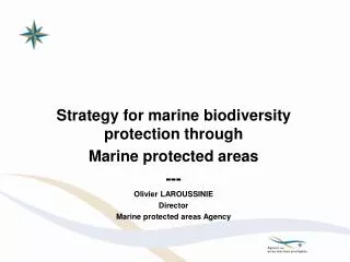 Strategy for marine biodiversity protection through Marine protected areas --- Olivier LAROUSSINIE