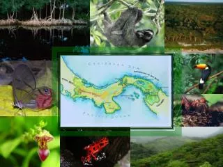 A Preliminary Assessment of Ecosystem Vulnerability to Climate Change in Panama