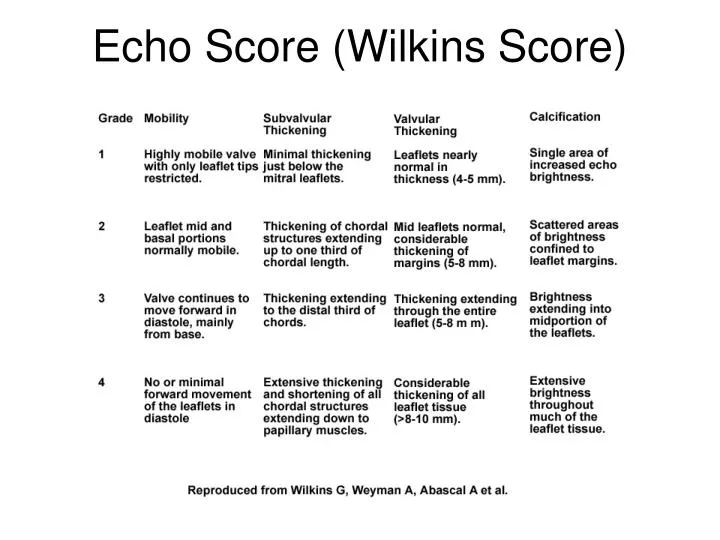 echo score wilkins score