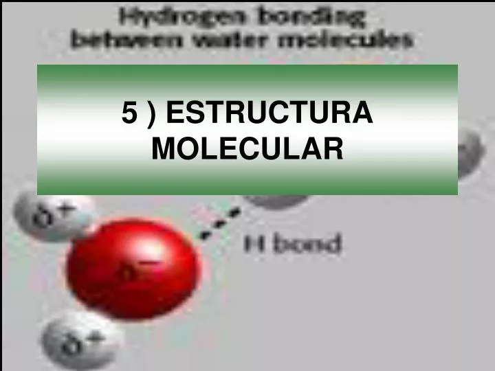 5 estructura molecular