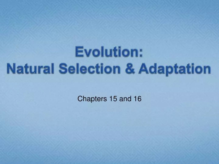 evolution natural selection adaptation
