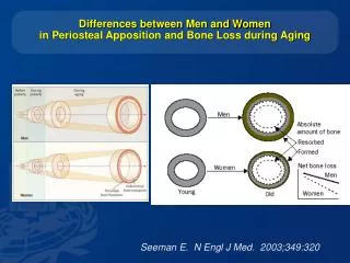 Differences between Men and Women in Periosteal Apposition and Bone Loss during Aging