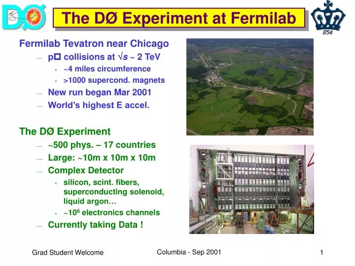 the d experiment at fermilab