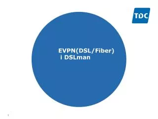 evpn dsl fiber i dslman