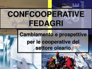 confcooperative fedagri