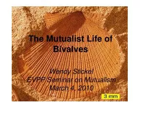 The Mutualist Life of Bivalves