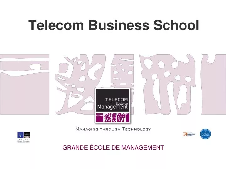 telecom business school