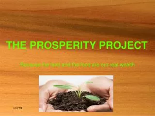 THE PROSPERITY PROJECT