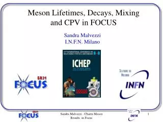 Meson Lifetimes, Decays, Mixing and CPV in FOCUS