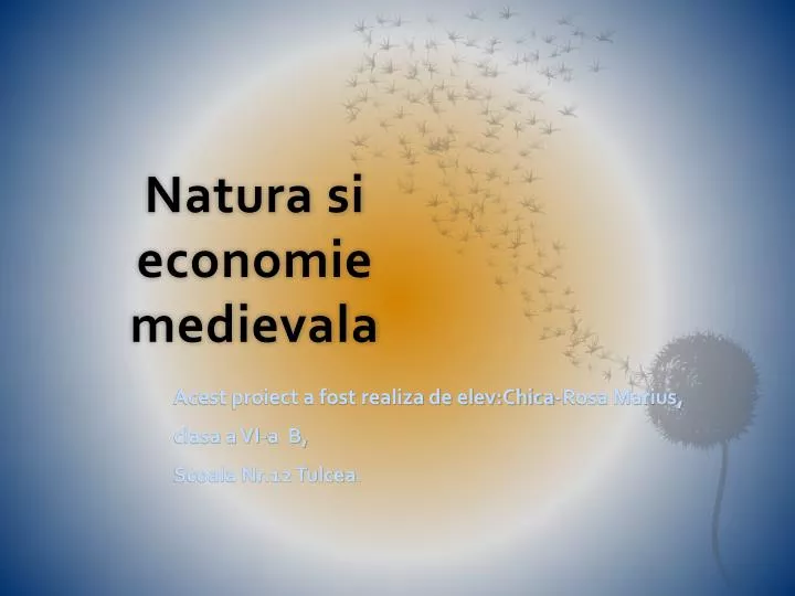natura si economie medievala