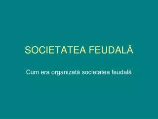 societatea feudal