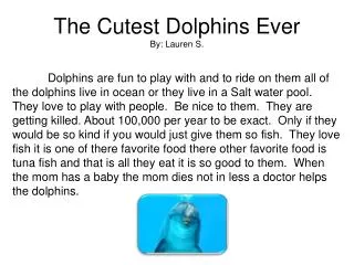 The Cutest Dolphins Ever By: Lauren S.