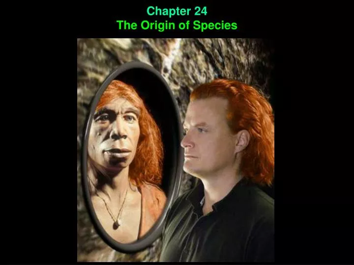 chapter 24 the origin of species