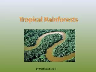 Tropical Rainforests