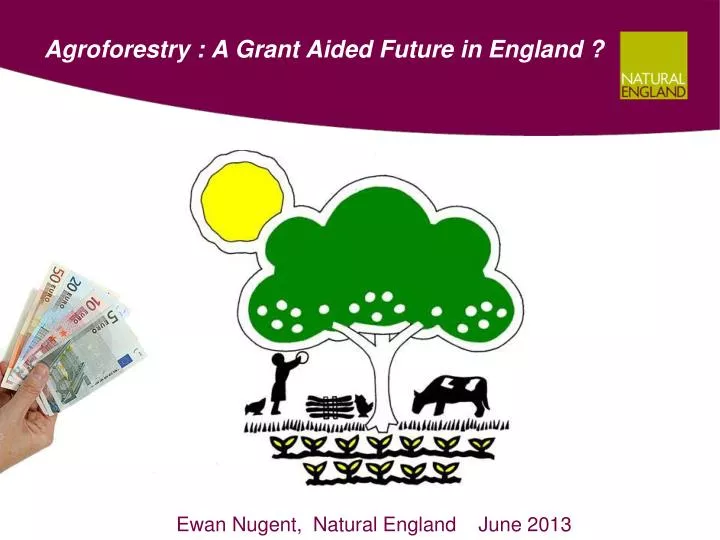 agroforestry a grant aided future in england