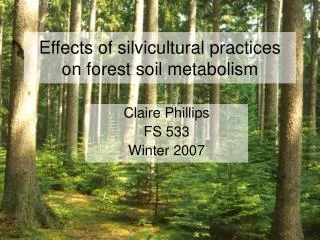 Effects of silvicultural practices on forest soil metabolism