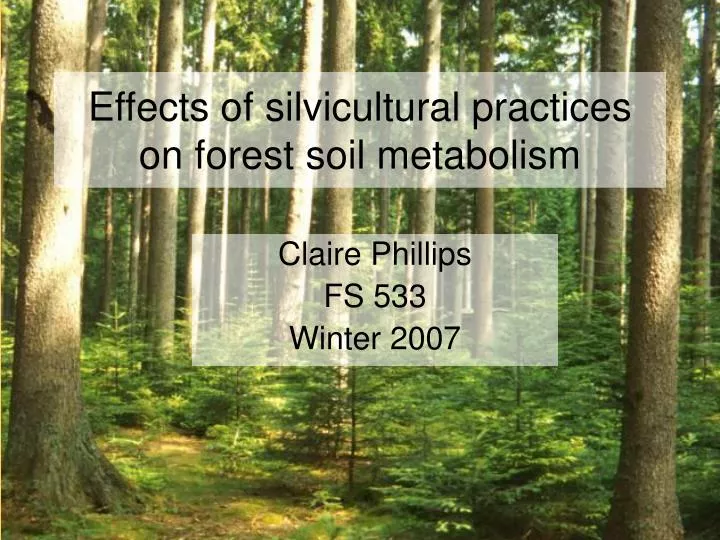 effects of silvicultural practices on forest soil metabolism