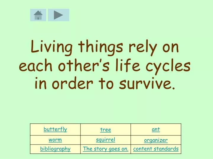 living things rely on each other s life cycles in order to survive