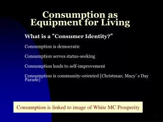 Consumption as Equipment for Living