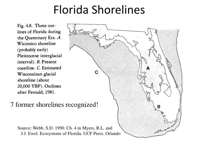 florida shorelines