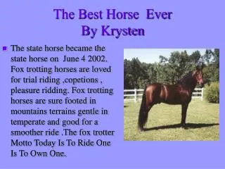 The Best Horse Ever By Krysten
