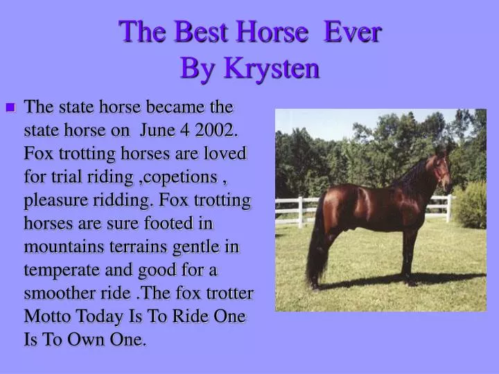the best horse ever by krysten