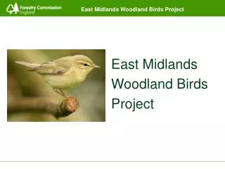East Midlands Woodland Birds Project