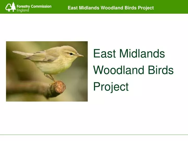 east midlands woodland birds project