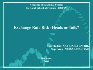 Academy of Economic Studies Doctoral School of Finance - DOFIN Exchange Rate Risk: Heads or Tails?