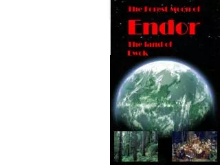 The Forest Moon of Endor The land of Ewok