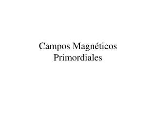 campos magn ticos primordiales