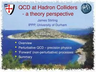 QCD at Hadron Colliders - a theory perspective