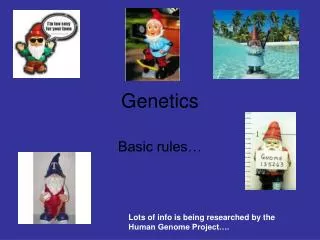 Genetics