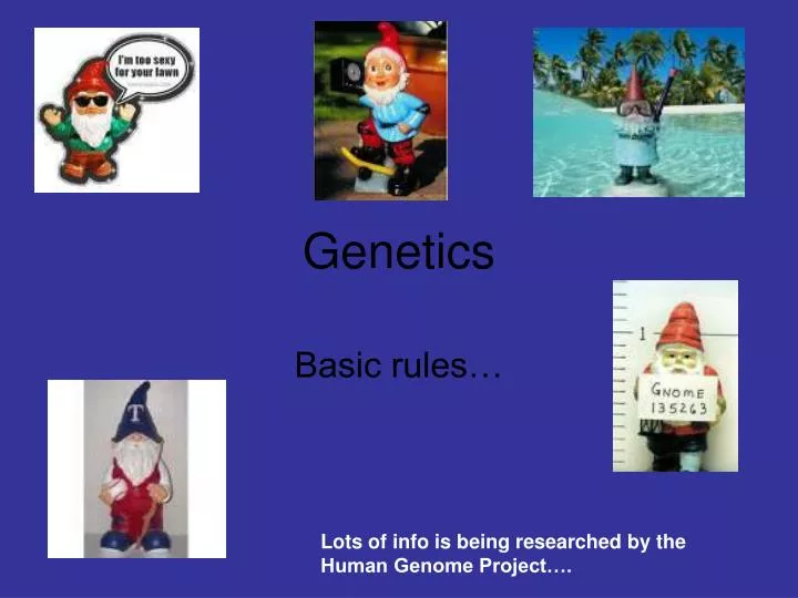 genetics