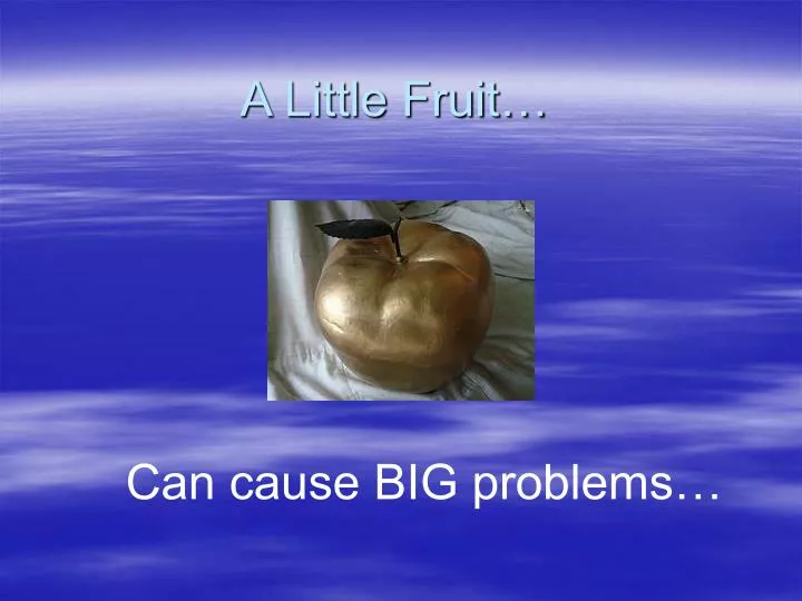 a little fruit