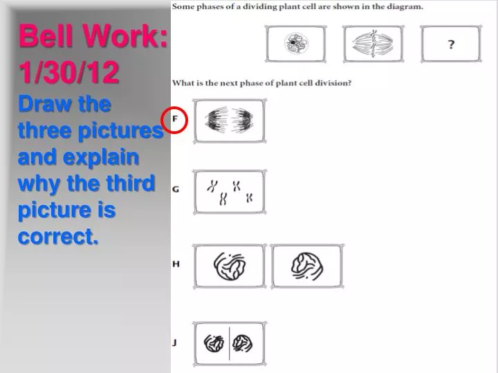 bell work 1 30 12 draw the three pictures and explain why the third picture is correct