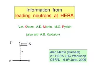 Information from leading neutrons at HERA