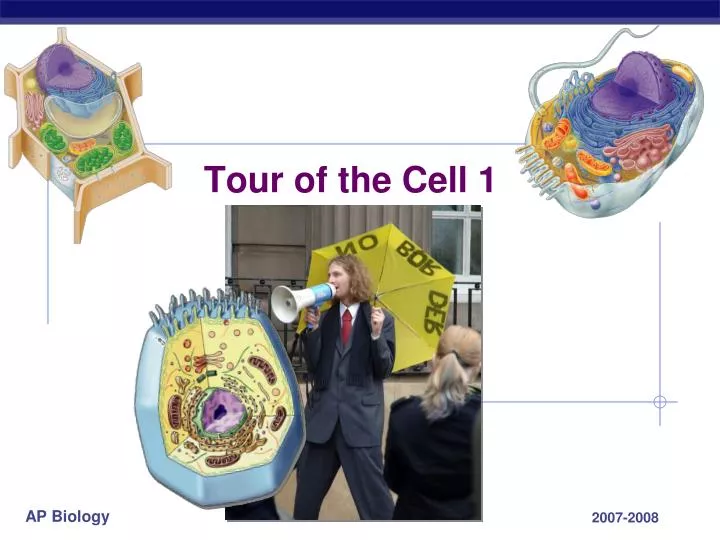 tour of the cell 1