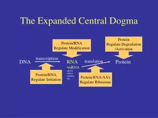The Expanded Central Dogma