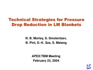 Technical Strategies for Pressure Drop Reduction in LM Blankets