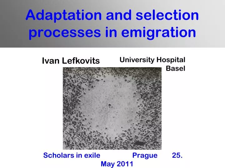 adaptation and selection processes in emigration