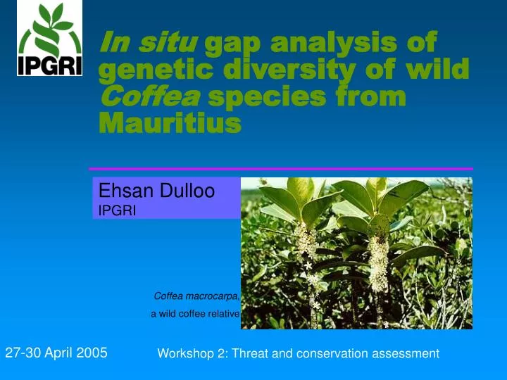in situ gap analysis of genetic diversity of wild coffea species from mauritius