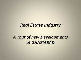 Real Estate Industry